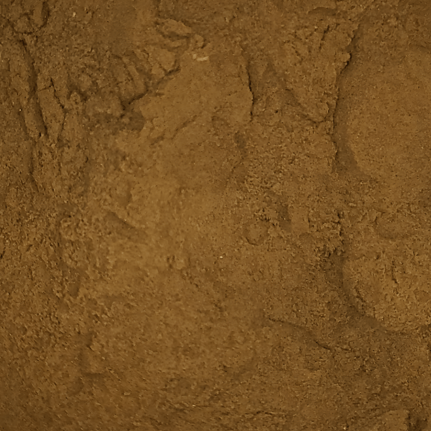 Cola de Pavo Orgánica directo en Colombia | Connabis