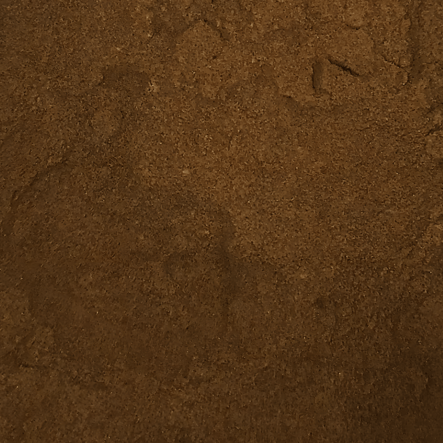 Ganoderma/Reishi Rojo Orgánico directo en Colombia | Connabis