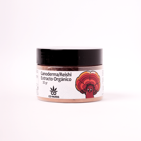Ganoderma/Reishi Rojo Orgánico directo en Colombia | Connabis Colombia