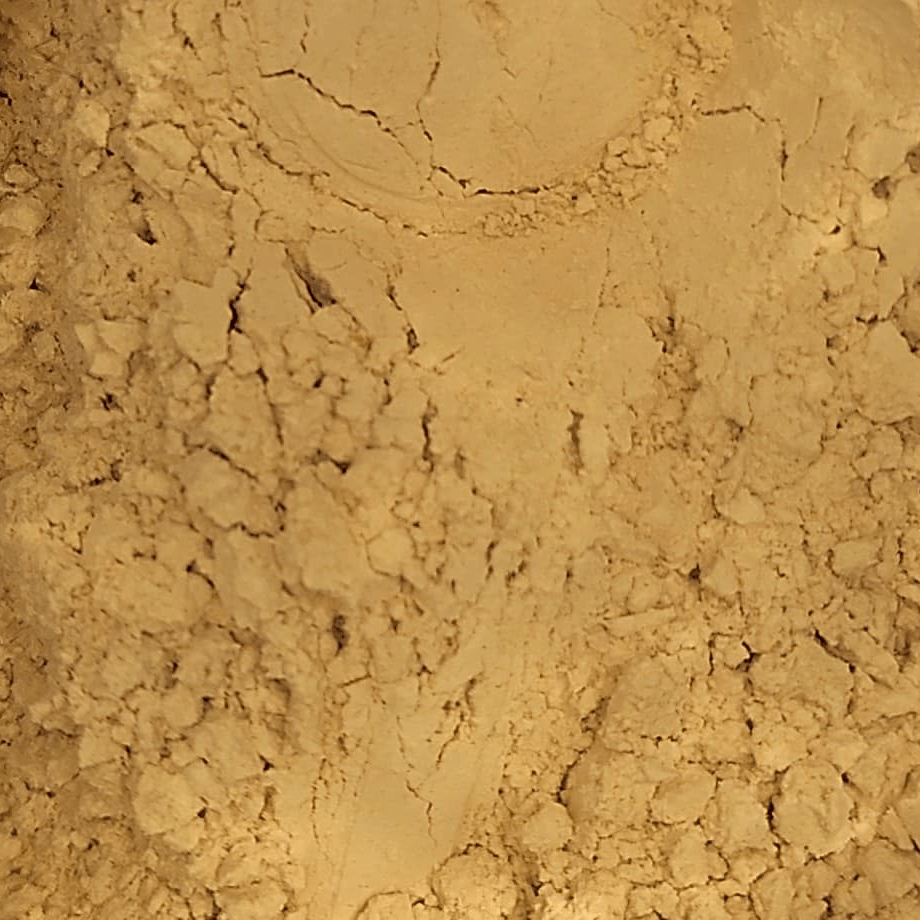 Melena de León Orgánica directo en Colombia | Connabis