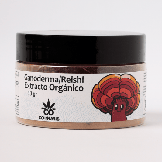 Ganoderma - Reishi Rojo Orgánico directo en Colombia | Connabis Colombia