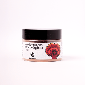 Ganoderma/Reishi Rojo Orgánico